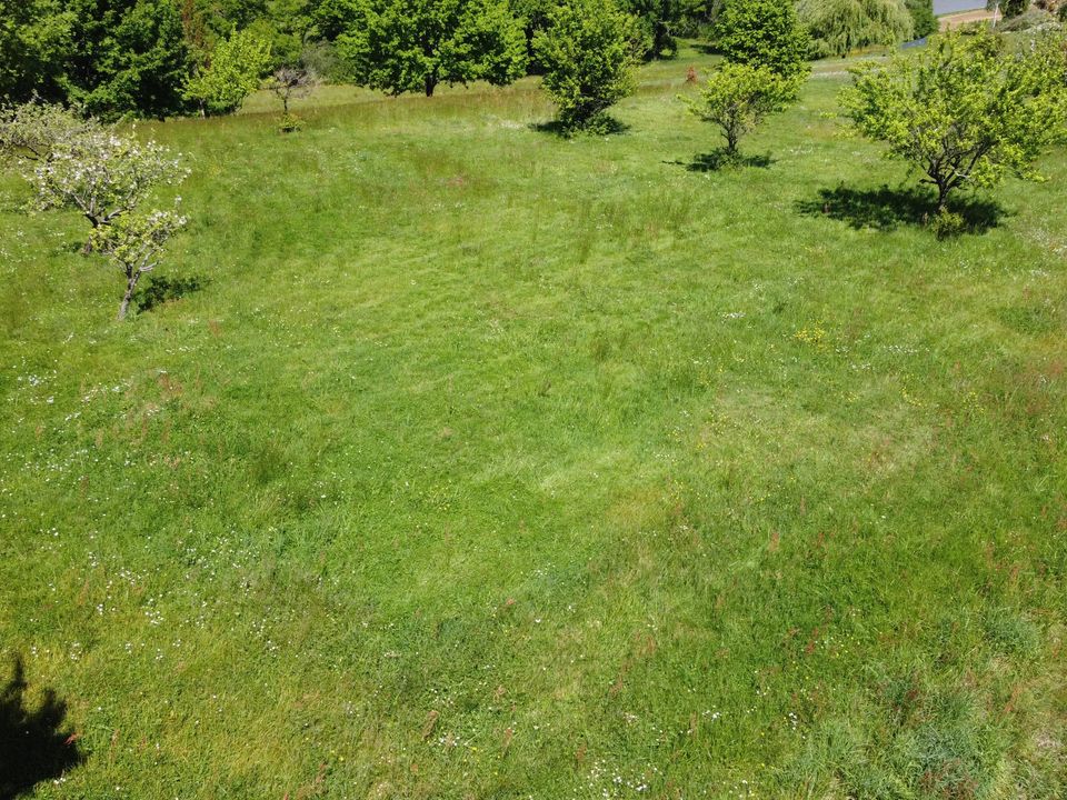 Helårsgrund i Saint-Avit, Lot-et-Garonne - foto 3