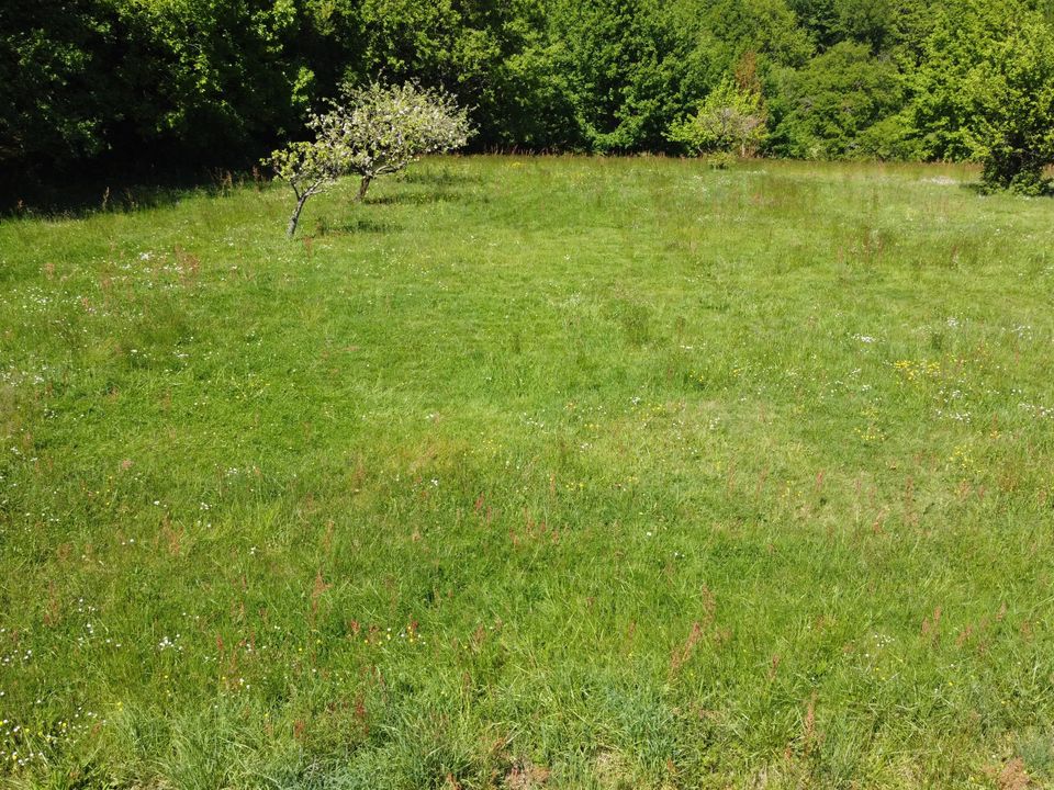 Helårsgrund i Saint-Avit, Lot-et-Garonne - foto 5
