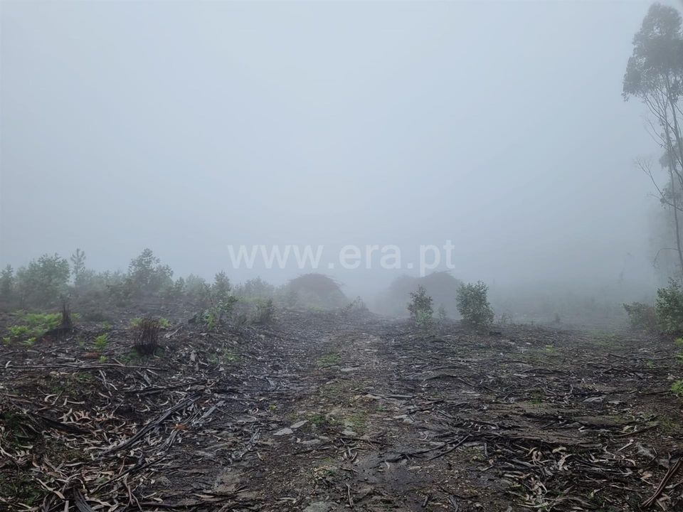 Helårsgrund i Esposende, Braga - foto 4