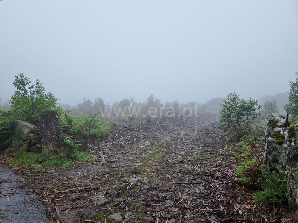 Helårsgrund i Esposende, Braga - foto 5