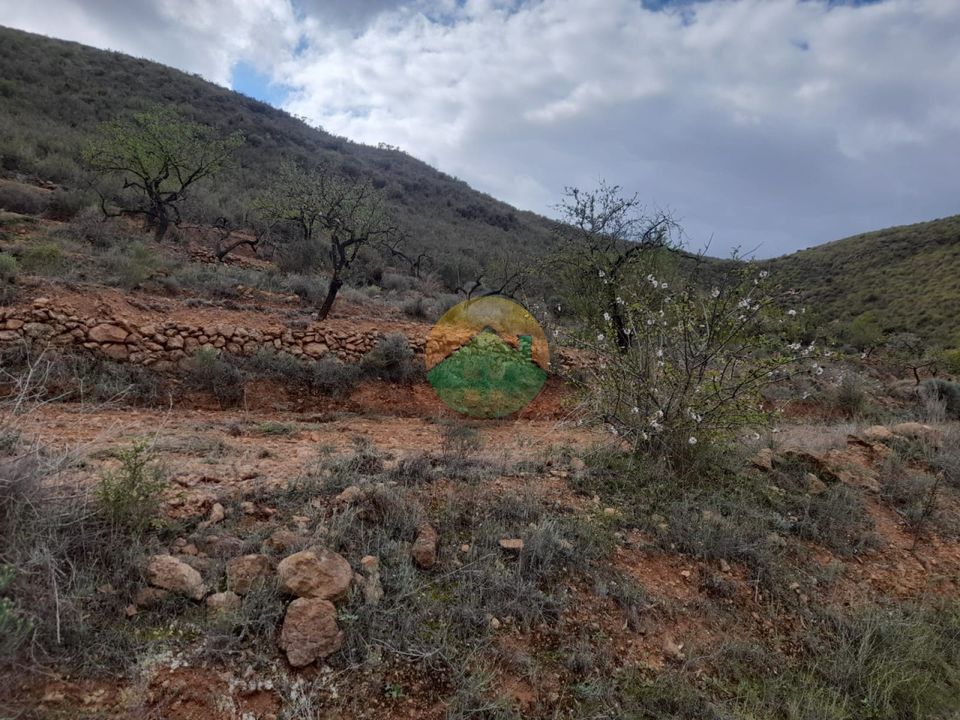 Finca i Lorca, Murcia - foto 5