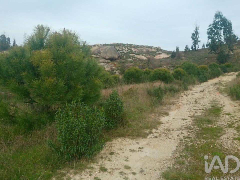 Grond in Oliveira do Hospital, Coimbra - foto 4