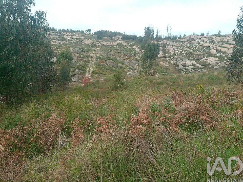 Grond in Oliveira do Hospital, Coimbra - foto 5
