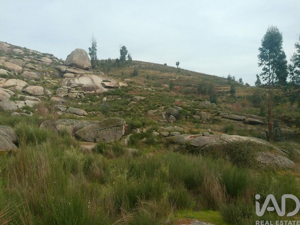 Grond in Oliveira do Hospital, Coimbra - foto 1