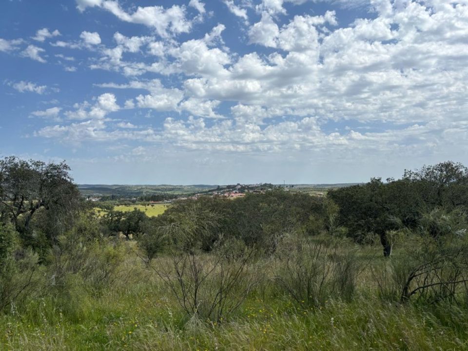 Helårsgrund i Alandroal, Evora - foto 4