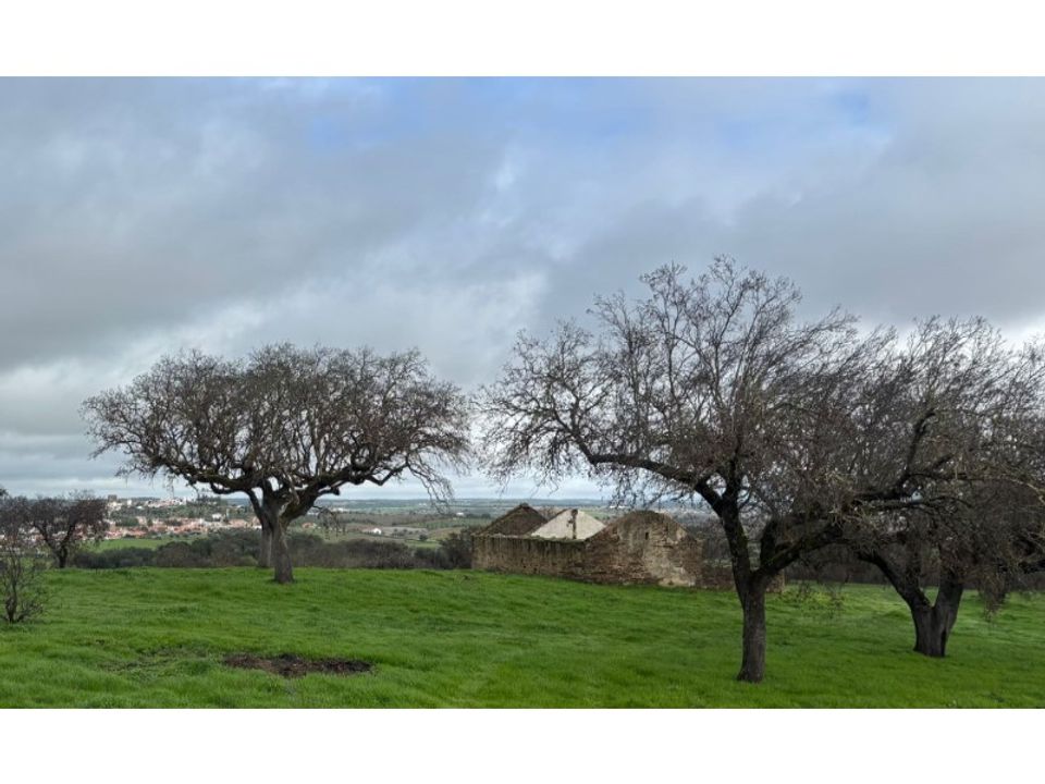 Helårsgrund i Alandroal, Evora - foto 3