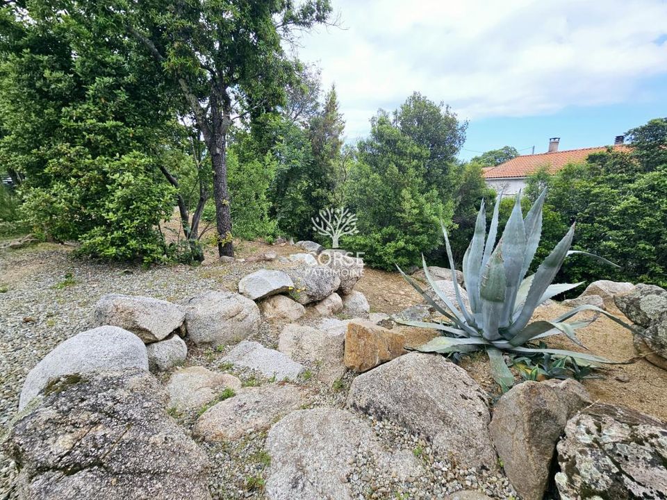 Villa i Solaro, Haute-Corse - bilde 4