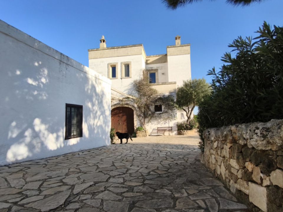 Landejendom i Fasano, Brindisi - foto 2