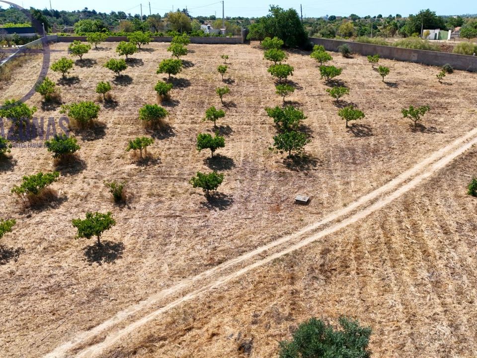 Villa i Lagoa, Faro - foto 5