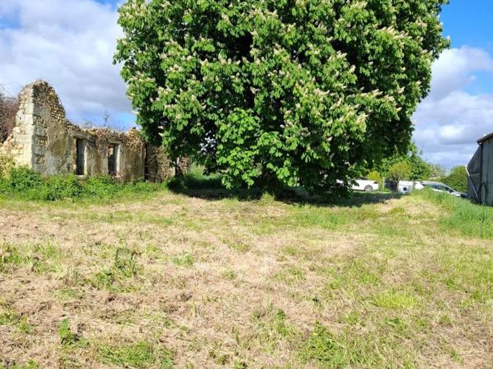 Helårsgrund i Saint-Georges-des-Agouts, Charente-Maritime - foto 1