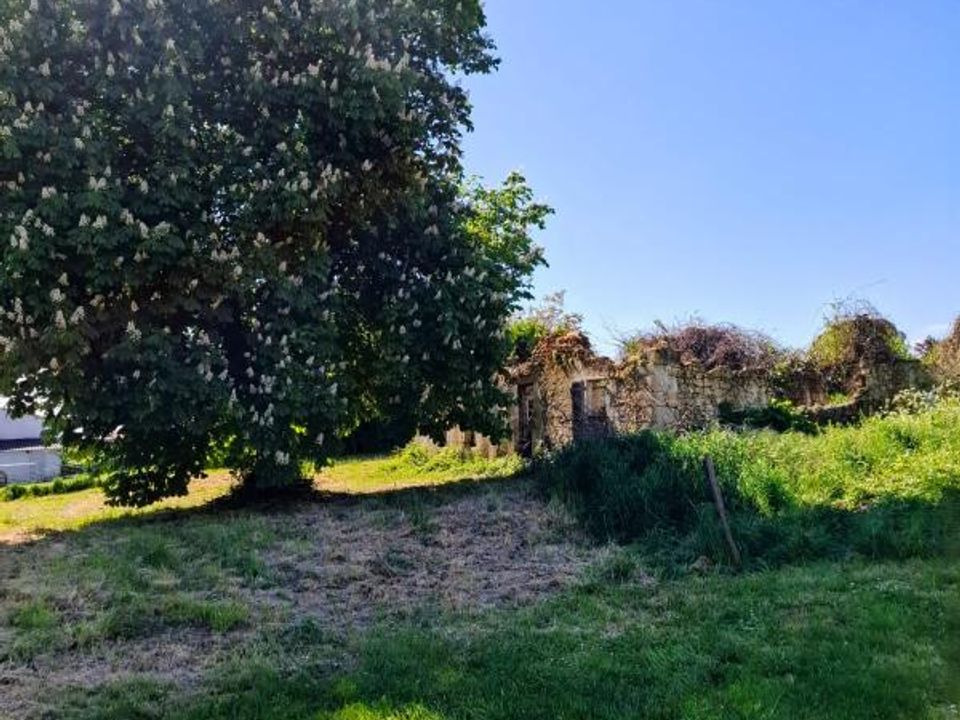 Helårsgrund i Saint-Georges-des-Agouts, Charente-Maritime - foto 2