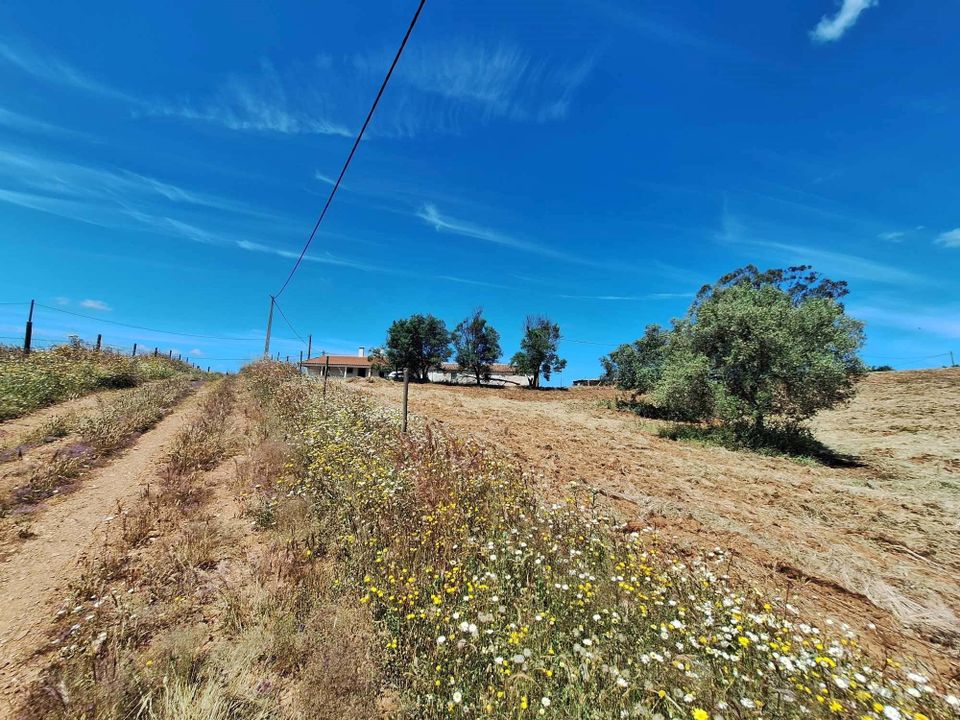 Farm house in Serpa, Beja - photo 3