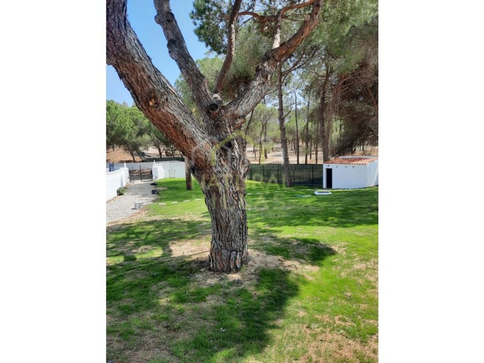 Villa a Almancil, Faro - foto 5