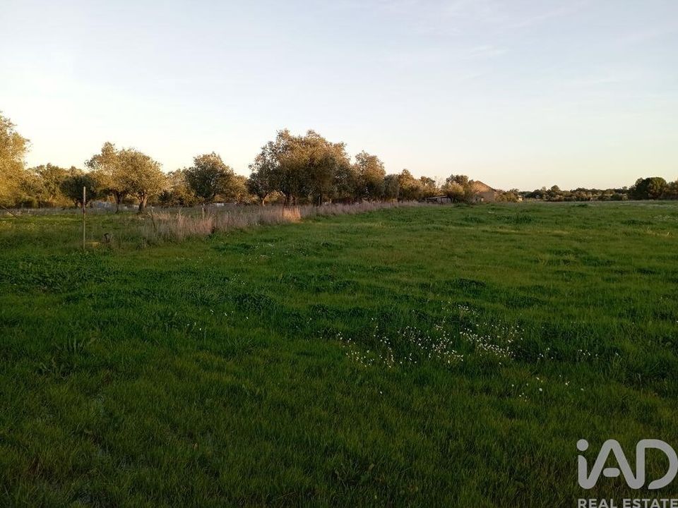 Helårsgrund i Santarem, Santarem - foto 3