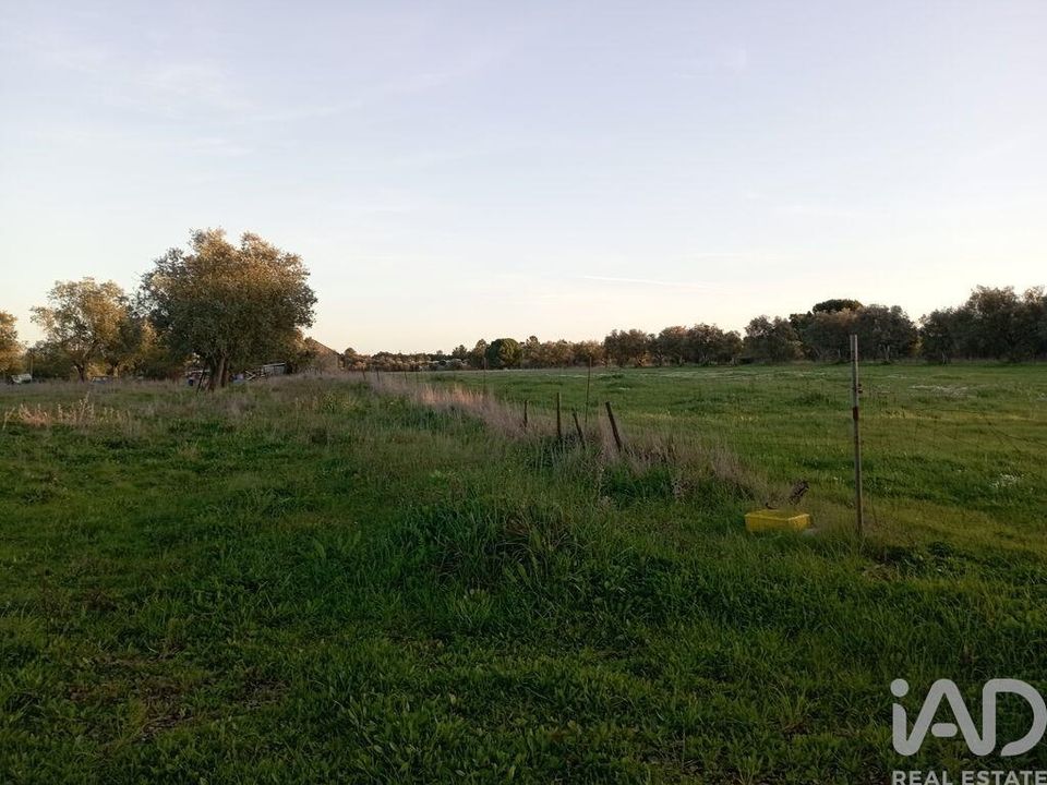Helårsgrund i Santarem, Santarem - foto 5