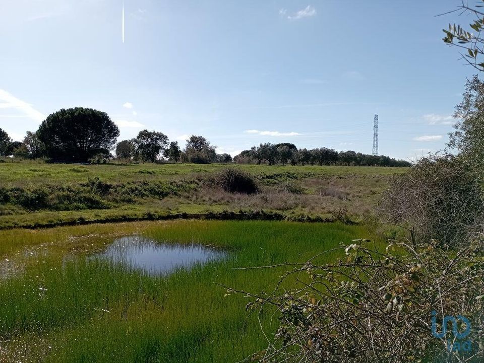 Helårsgrund i Santarem, Santarem - foto 1