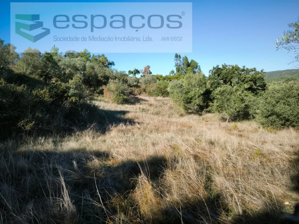 Helårsgrund i Castelo Branco, Castelo Branco - foto 4