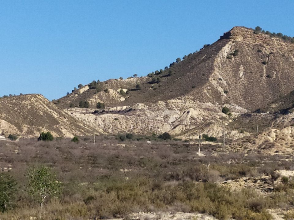 Finca i Orihuela, Alicante - foto 2