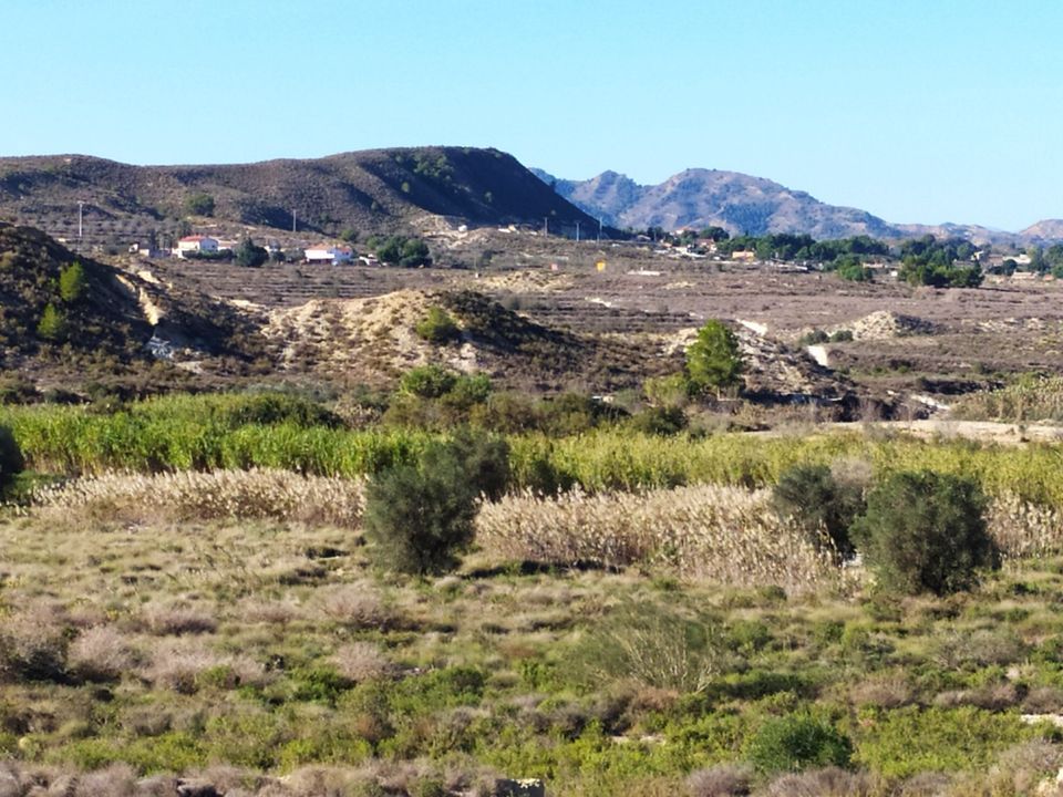 Finca i Orihuela, Alicante - foto 3