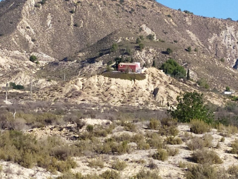 Finca i Orihuela, Alicante - foto 4