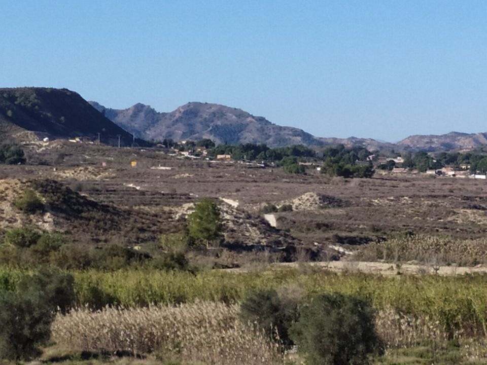 Finca i Orihuela, Alicante - foto 5