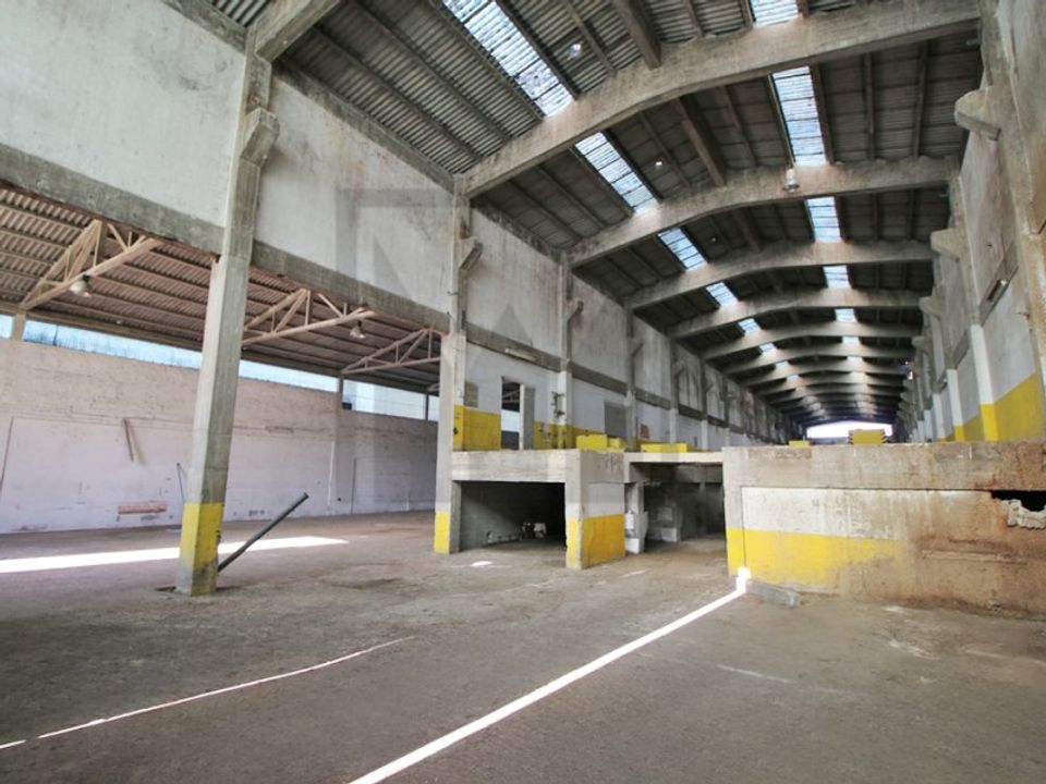 Erhvervsejendom i Chamusca, Santarem - foto 3