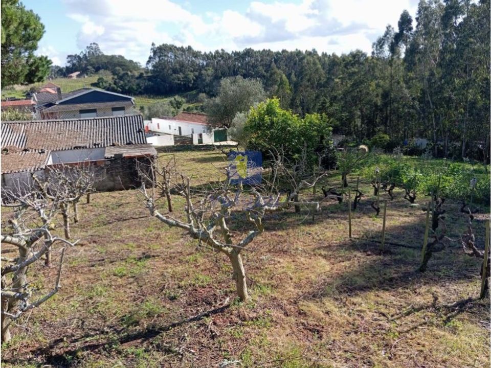 Helårsgrund i Alvorninha, Leiria - foto 2