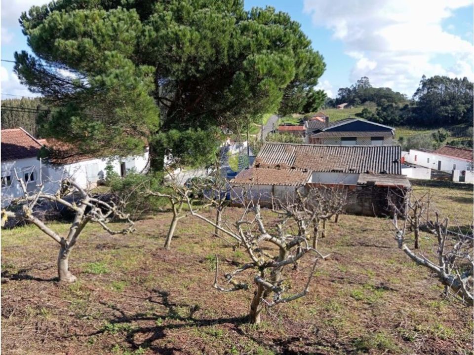 Helårsgrund i Alvorninha, Leiria - foto 5