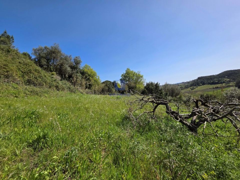 Villa i Vidais, Leiria - bilde 2