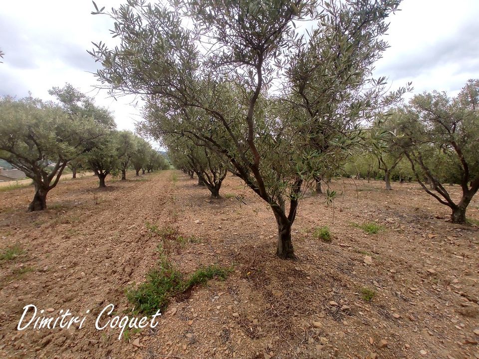 Helårsgrund i Gabian, Herault - foto 1