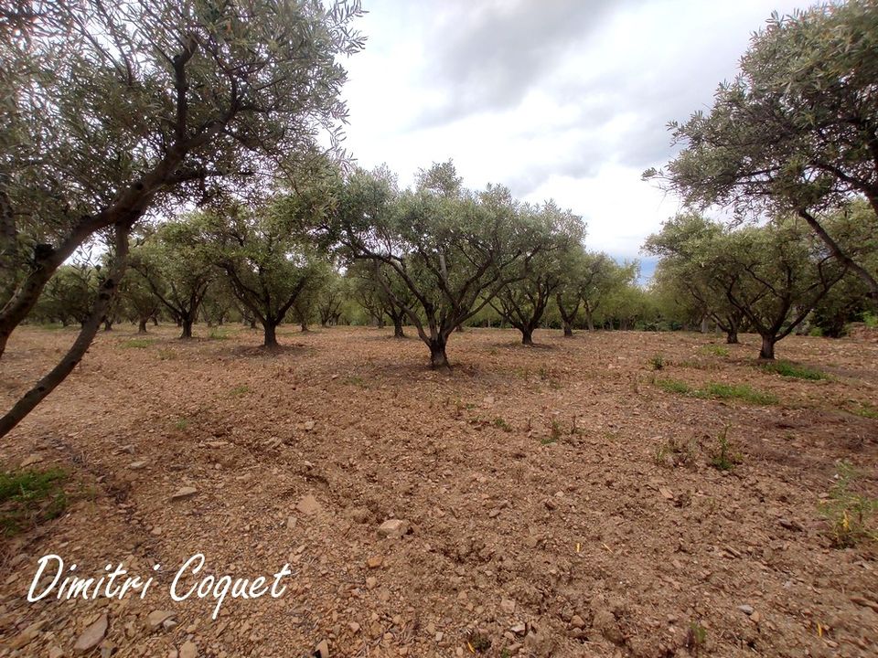 Helårsgrund i Gabian, Herault - foto 2