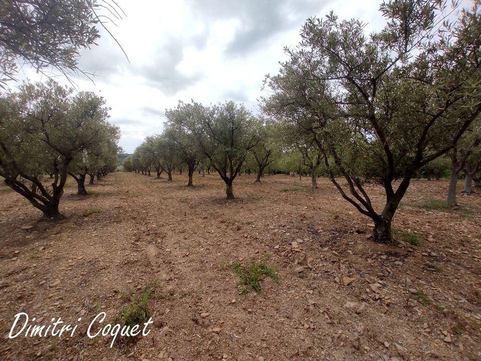 Helårsgrund i Gabian, Herault - foto 4