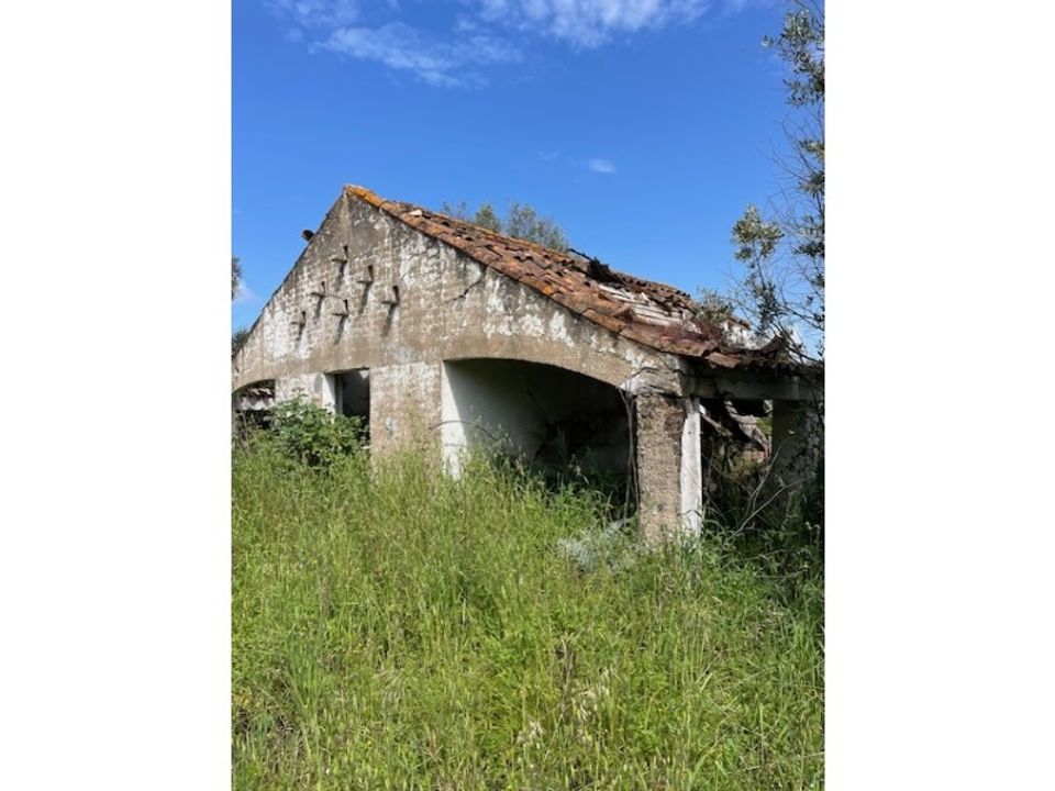 Tomt i Montargil, Portalegre - bilde 2
