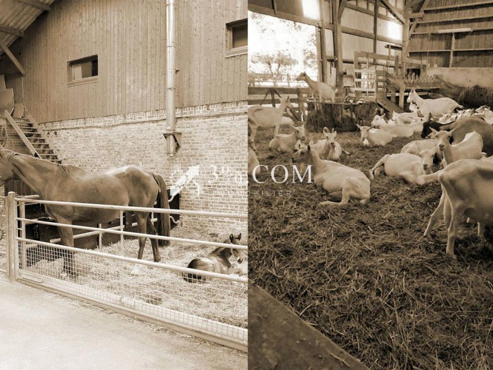 Farm i Preuseville, Seine-Maritime - foto 2