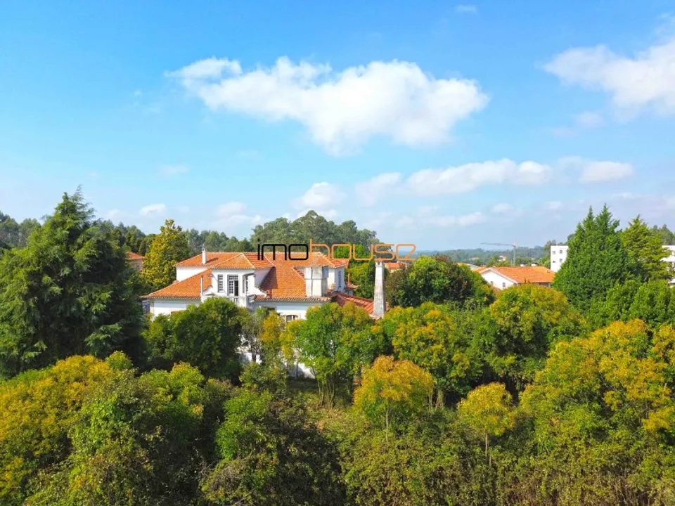Cortijo i Vila de Cucujaes, Aveiro - foto 2