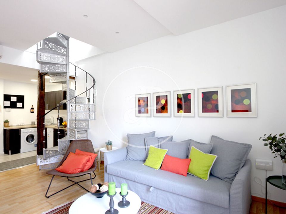 Penthouse i Madrid, Madrid - bilde 4