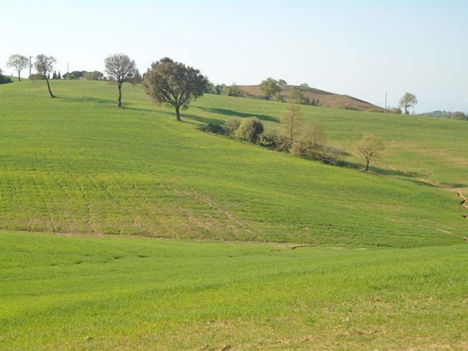 Farm hus i Scansano, Grosseto - foto 1