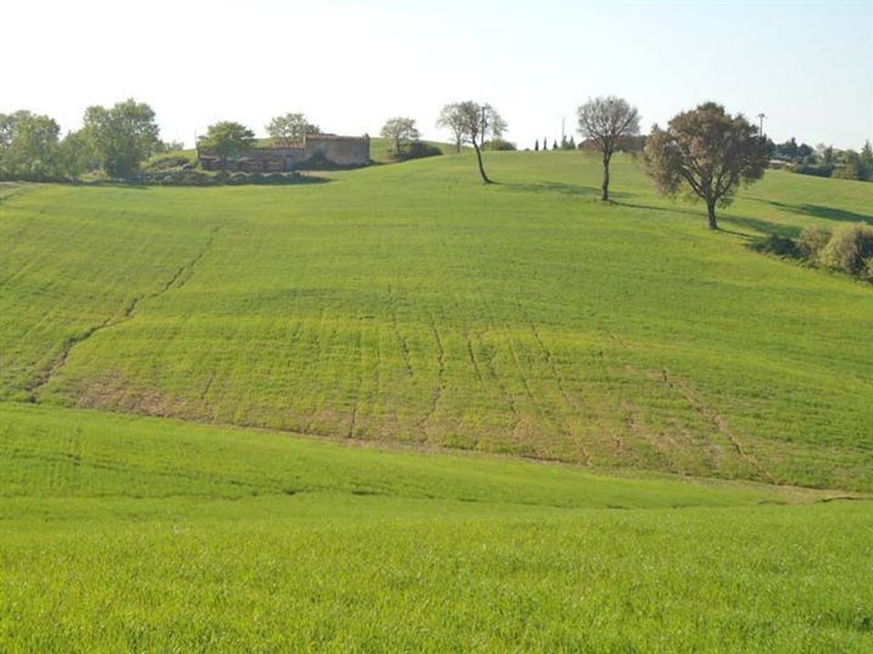 Farm hus i Scansano, Grosseto - foto 2