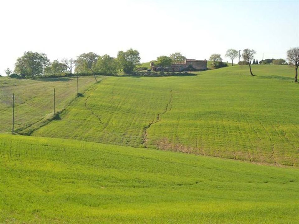 Farm hus i Scansano, Grosseto - foto 3