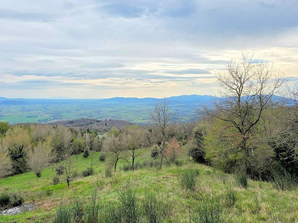 Landejendom i Roccastrada, Grosseto - foto 5