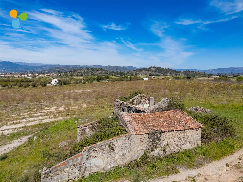 Farm i Belmonte, Castelo Branco - foto 3