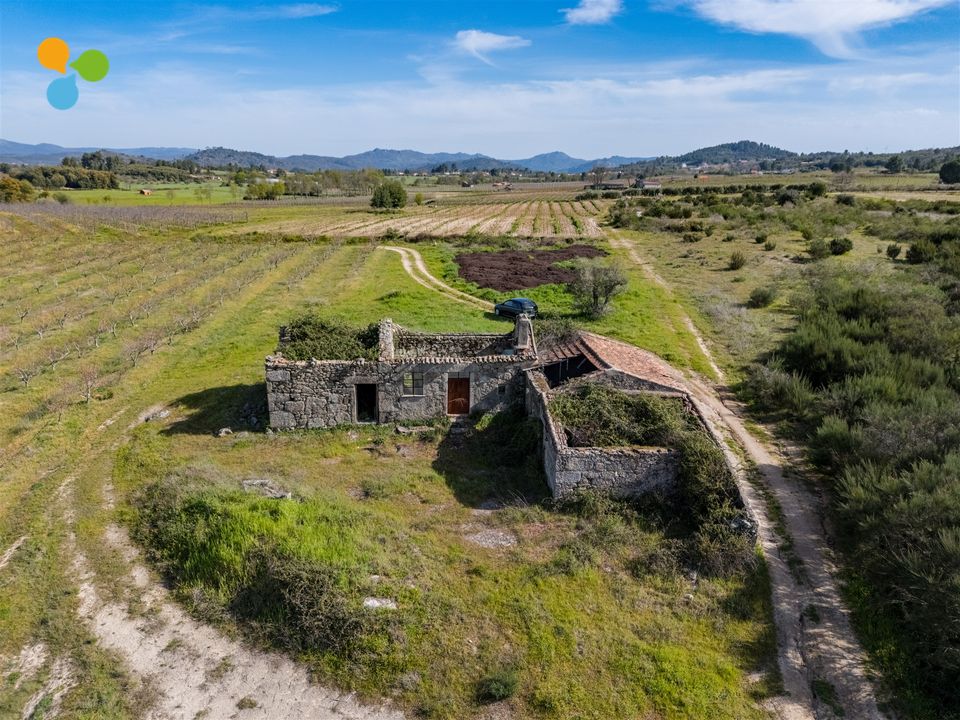 Farm i Belmonte, Castelo Branco - foto 4