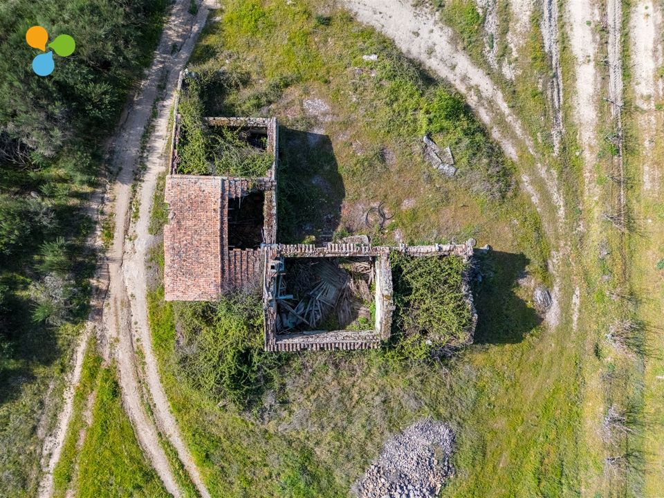 Farm i Belmonte, Castelo Branco - foto 5