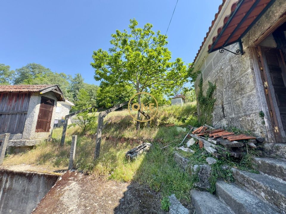 Herregård i Baiao, Porto - bilde 1