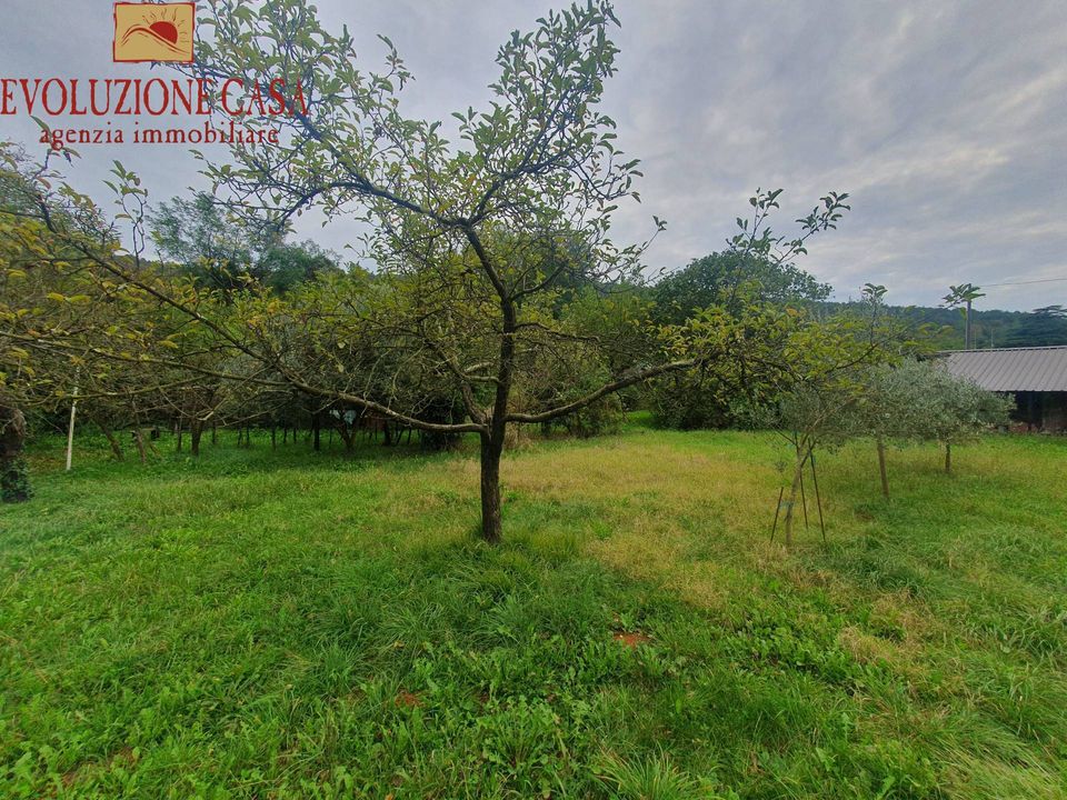 Villa i Sagrado, Gorizia - foto 3