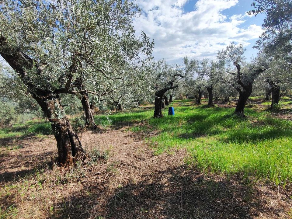 Erhvervsejendom i Guidonia Montecelio, Rome - foto 1