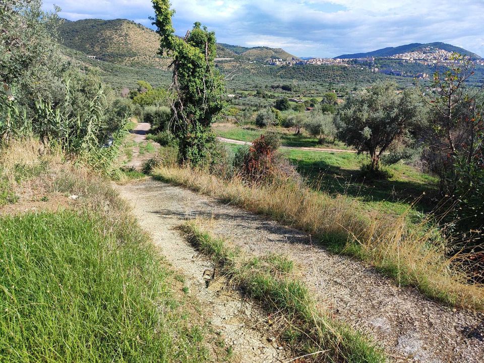 Erhvervsejendom i Guidonia Montecelio, Rome - foto 2