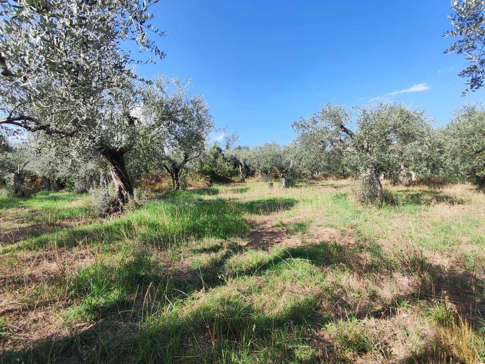 Erhvervsejendom i Guidonia Montecelio, Rome - foto 5