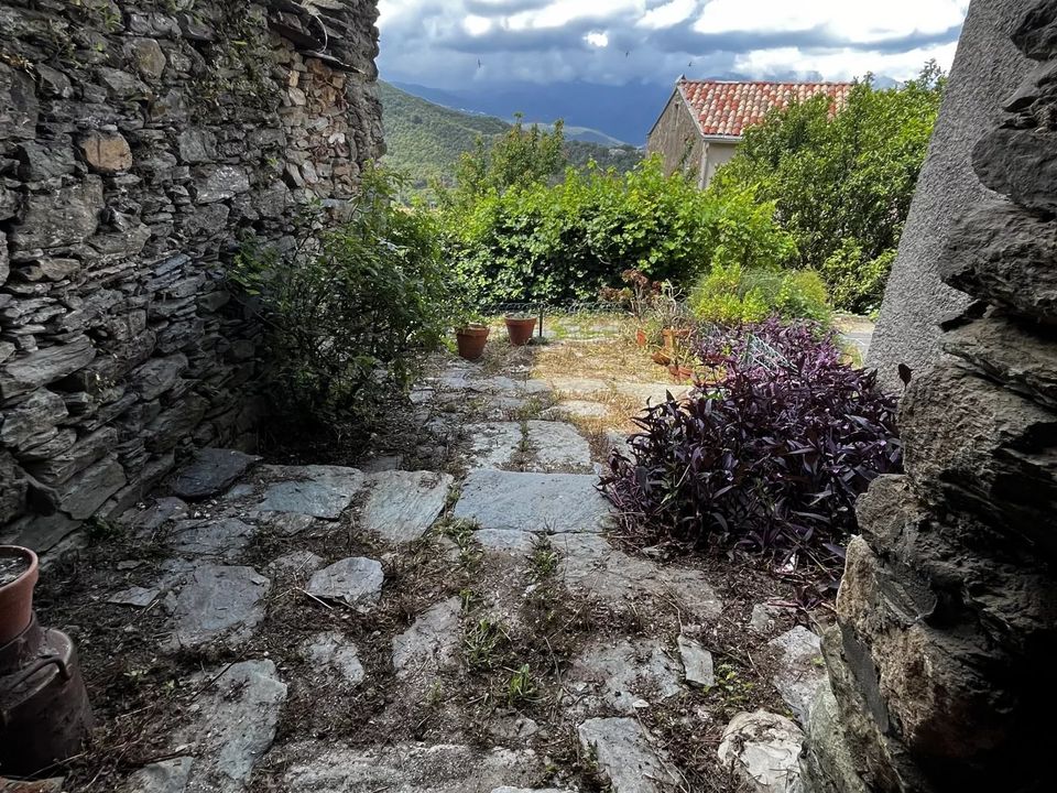 Landejendom i Oletta, Haute-Corse - foto 3