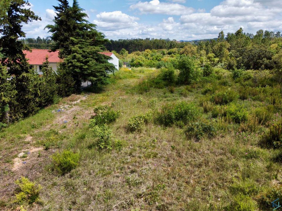 Helårsgrund i Casais e Alviobeira, Santarem - foto 5